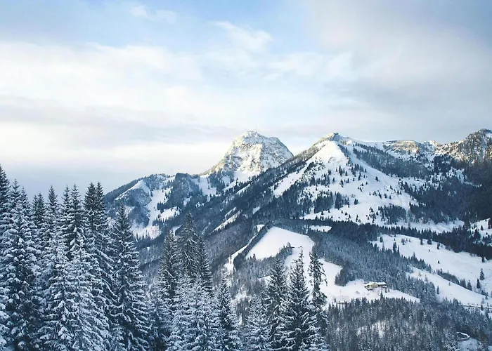 Lush In With 2 Saunas Apartment Bayrischzell